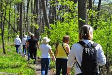 Pinery Park Walking Club