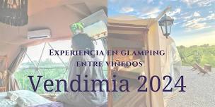 Experiencia en Glampings entre viñedos, vendimia 2024