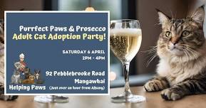 Purrfect Paws & Prosecco: Adult Cat Adoption Party