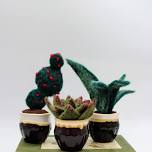 The Succulent Class – Needle Felting for Beginners!