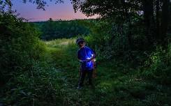 Fantastic Fireflies Family Hike