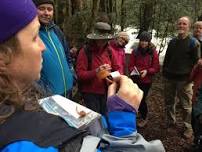 Fungi identification and ecology walk with Dr Sapphire McMullan-Fisher  (9.30 - 11am)