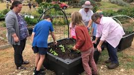 Home school group - Term 1 gardening program