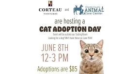 Cat Adoption at Corteau Vineyards