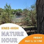 FREE Knee-High Nature Hour: 