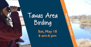 Tawas Area Birding