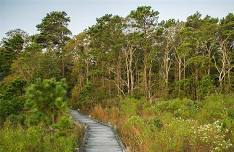 Land Bank Trails and Beaches