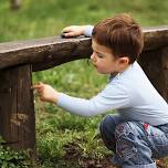 Bug Hunt at Ferry Meadows