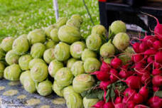 Chippewa Falls Farmers Market