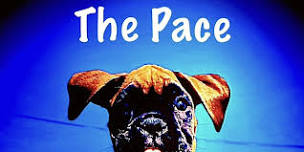 LIVE MUSIC- The Pace (FREE EVENT)