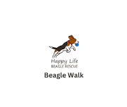 Beagle Walk — Happy Life Beagle Rescue