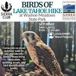 Birds of Lake Tahoe Hike