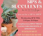 SIPS & SUCCULENTS