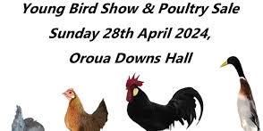 CD Poultry & Pigeon Club Young Bird show + Poultry Sale