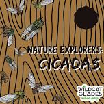 Nature Explorers: Cicadas