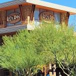 Lunch at Lazy Dog