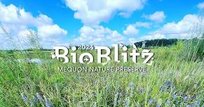 BioBlitz at Mequon Nature Preserve