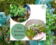 Tipsy Terrariums Workshop