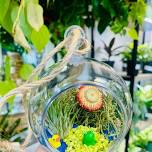 School Break- Kids Air Plant Terrarium Workshop