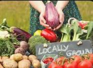 Bolingbroke Farmers Market