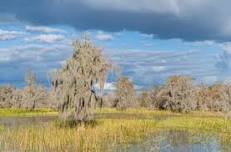 GUY HARVEY OUTPOST PHOTO ACADEMY - OLD FLORIDA PHOTO JOURNEY