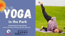 Yoga in the Park