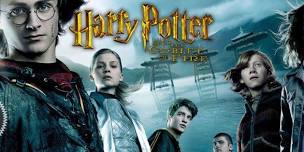 THE HARRY POTTER HOUSE CUP SERIES: HARRY POTTER & THE GOBLET OF FIRE