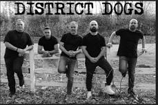 District Dogs Live @ Cardinal Brewing