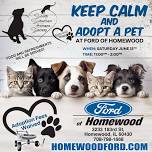 Summer Adoption Event at Ford of Homewood!