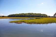 OAK (Outdoor Adventure Kids) - Vernal Pool Hike