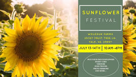  SUNFLOWER FESTIVAL 