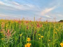 Iowa Prairie Conference