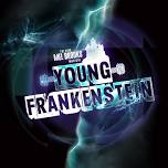 Memorial Opera House Presents | Young Frankenstein   — Valparaiso Events