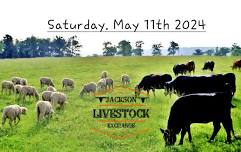 LIVESTOCK EVENT - CATTLE/PIGS/SHEEP/GOATS