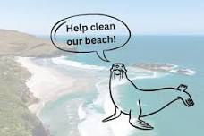 Beach Clean-up for Sea Lions — Wild Dunedin