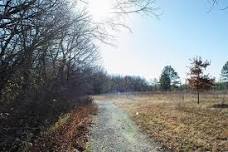 Riparian Restoration Volunteer Workday