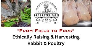 Raising and Harvesting Rabbit and Poultry