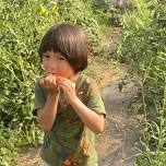 Making the Most of the Garden: Community Learning with Farmer Burke