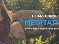 Learn Meditation and Stress Management in MD