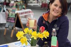 Community-led Workshop: Kombucha and Ginger Bug Soda