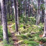 Trail Work Day