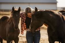 A New Way of Working with Horses: A Day of Demos!