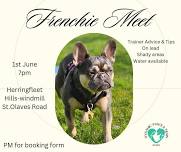 Frenchie Meet Up