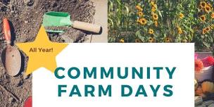 Volunteer for the HEAL Projects’ Community Farm Days