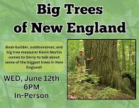 Big Trees of Northern New England