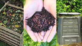 Composting Faire at the Bennington Community Garden