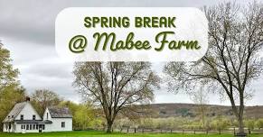 Spring Break at Mabee Farm