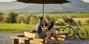 Explore the beautiful wine region of Marlborough on this full-day bike tour.