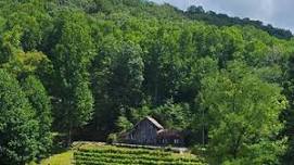 Kentucky Derby Party at The Vineyard at High Holly