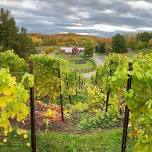 Black Star Farms Estate & Wine Tour